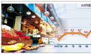 [비상등 켜진 한국경제…소비마저]물가상승률 다시‘0%대’…다시 힘받는‘금리인하’