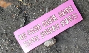 용인서도 대남 전단  1만여장 발견…군 당국 수거