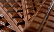 초콜렛, 납·카드뮴 가득?…“IQ, 집중력 저하”