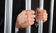 관대해진 사법부?…연초 구속자 전년比 20% 줄었다