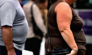 2025년까지 인구 5명당 1명 꼴로 비만