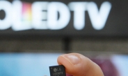 LG전자 초고화질 방송 수신 칩 세계 첫 개발