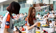 야구장 ‘맥주보이’ 사라진다…주류 이동판매 금지