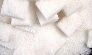 연령대별  ‘맞춤 당(Sugar)’ 섭취…방법은 따로 있다
