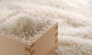 쌀 수입 늘어나는 중국…한국산 쌀도 수출