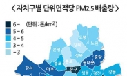 [미세먼지 주말 습격 ①] 발암경고 없는 미세먼지 문자, 무슨 소용?