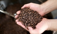 25년만에 누명벗는 커피…WHO '발암 물질’서 제외