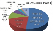 `인터넷전당포’ 주의보…84%가 법정이자 초과