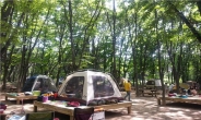 ‘한여름밤 낭만’ 도심속 캠핑 즐기는 ‘서울 공원 캠핑장 4’