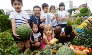 [포토뉴스] 꼬마농부들 “수박·참외 수확체험 신나요”