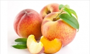 [리얼푸드] 신선의 과일 ‘복숭아’…달콤한 과즙이 더위 날린다