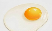 “계란, 매일 7개 먹어도 혈중 콜레스테롤 영향 없다”