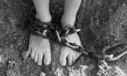 끊이지 않는 현대판 노예…‘19년 축사노예’ 가해부부 집중조사 나선 경찰