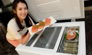 업계 첫 가정용 초저온 냉동고 출시