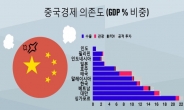 中 경제 재채기 하나에 韓경제 감기 걸린다