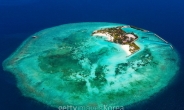 지구온난화로 몰디브 산호 60％ 죽어간다