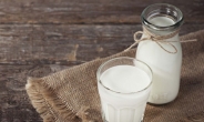 [리얼푸드] ‘바퀴벌레 우유’ 미래의 떠오르는 단백질 공급원?