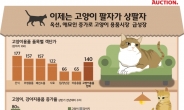 고양이 팔자가 ‘상팔자’네