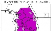 “아, 정말 덥네”…사상 첫 전국 전역 폭염특보