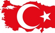 “터키 언론인 110여명 구금, 43명 기소”