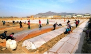 FAO “북한, 올해 식량 66만톤 부족”…식량부족국 재지정
