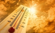 올해 7ㆍ8월 지구 온도, 관측 사상 가장 더웠다