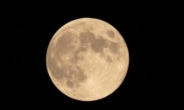 추석 보름달, “생각보다 작네”…11월에 ‘슈퍼문’ 온다