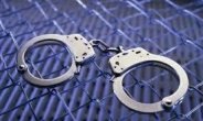 “여행 안가…추석 때 친정 가겠다” 아내 폭행한 40대 체포