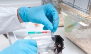 실험동물 생체자원 ‘공유’로 연구비 절약