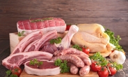 육식 즐기면 ‘슈퍼박테리아’ 감염 위험 높아진다