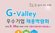 산단공, 30일 G밸리 우수기업 채용박람회 개최