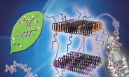 KAIST, 페트병 대체 가능한 바이오플라스틱 개발