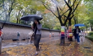 [포토뉴스] 가을비 속 단풍은 깊어만 가고…