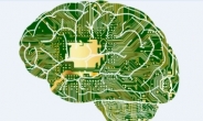 뇌ㆍ인공지능 국내외 연구자 한자리에…과기한림원, 16일 ‘제 26회 한림국제심포지엄’ 개최