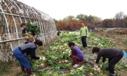 수원시, 도시공원 텃밭 농산물 평화의모후원에 전달