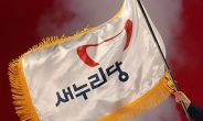새누리당 윤리위 “박 대통령 출당, 징계 논의 ”