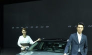 ‘신형 그랜저’ 22일 출시…현대차 구원투수 역할 기대