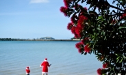 반바지의 뉴질랜드 산타, 여름 새해맞이 축제
