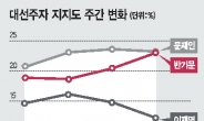 文의 ‘대세론’ 潘의‘대망론’…아니면‘제3지대론’