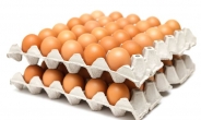 [고공행진 金란, 해법은 ②]계란값 ‘폭리 의혹’…산지의 3배 유통구조가 문제