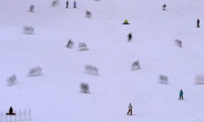 [헤럴드포토] 스키어가 만들어낸 눈밭 ‘디자인 아트’
