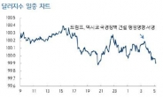 원/달러 환율, 트럼프 정책 우려속에 약세