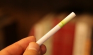 ‘사탕같은 캡슐담배’...건강에는 ‘악영향’