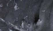 캥거루형 포유류 화석…경남진주서 세계 첫 발견