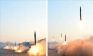 “中, 북한 ‘가상의 적’ 등재…군 배치 조정”