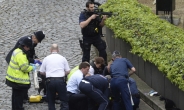 영국의사당 주변서 경찰관 피습…英 “테러로 규정”