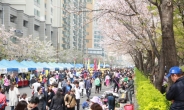 구로구 거리공원서 9일 벚꽃축제