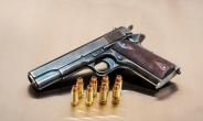 [경산 농협 총기사건] 총이 돌아다닌다…총기범죄자 절반은 총기 소지자
