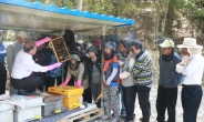 도봉구, ‘도시양봉교육’ 참여주민 모집