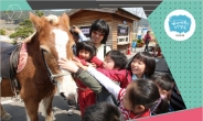 렛츠런파크 부경, ‘부울경 어린이 바둑대회’ 개최